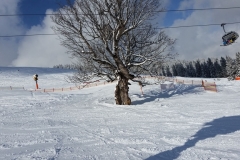 kinderskicamp2018_16