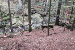 20181007_102752
