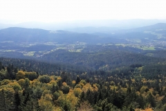 IMG-20181008-WA0005