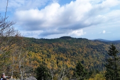IMG-20181008-WA0007