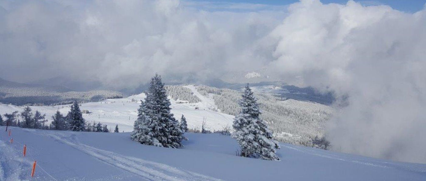skiurlaub-verein-bayern-skifahren-skiausflug-panorama-1400